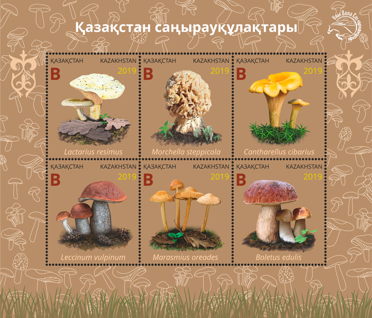 Kazakhstan mushrooms